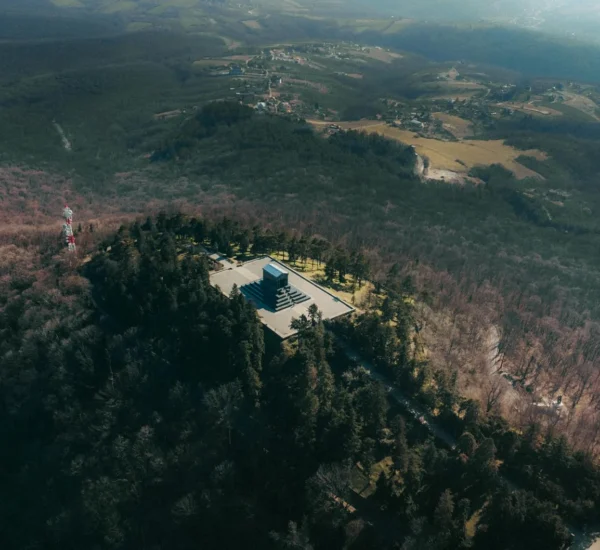 Beli Karpet Impian: Panduan Lengkap untuk Hunian Nyaman