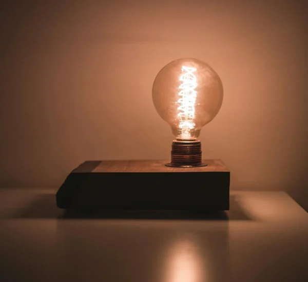 Jual Karpet Bulu: Hangatkan Rumah, Hati, dan Gaya Anda