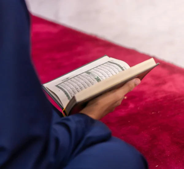 Jual Karpet Makassar