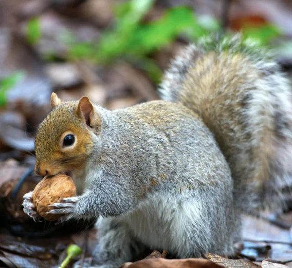 Jual Karpet Outdoor: Ubah Ruang Luar Jadi Surga Impian