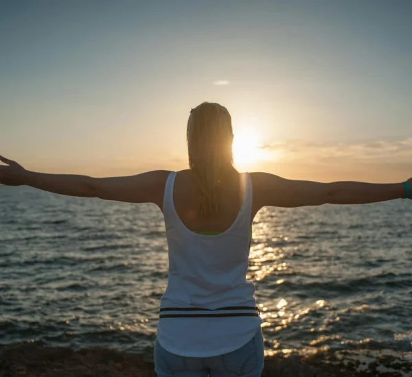 Jual Karpet Permadani