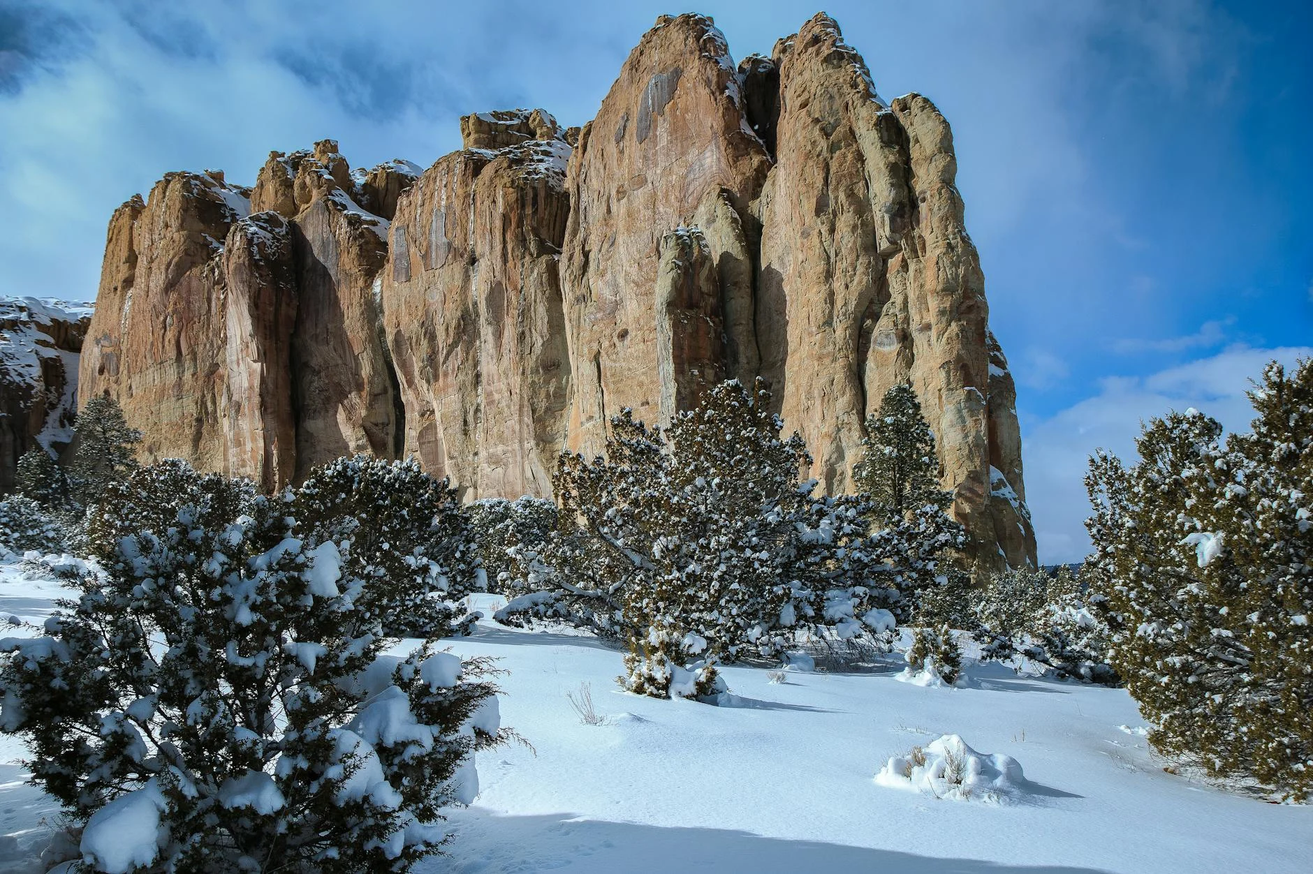 Jual Karpet Ramah Lingkungan