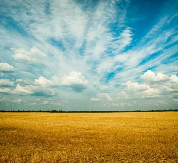 Jual Karpet Tahan Air