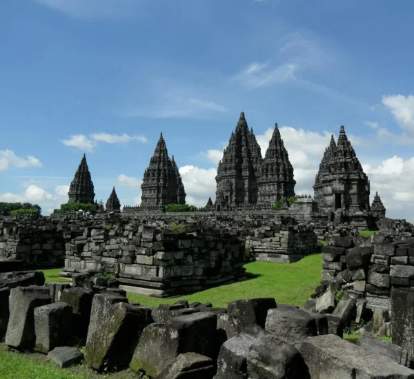 Jual Karpet Yogyakarta