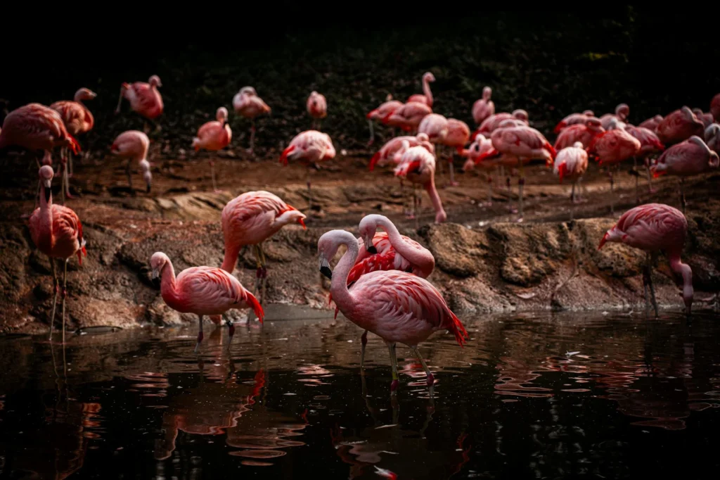 Keunggulan Karpet Mobil Premium: Investasi Jangka Panjang